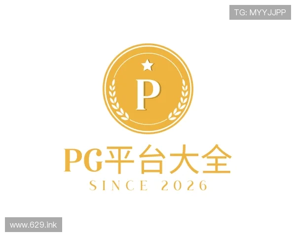 剖析pg平台大全